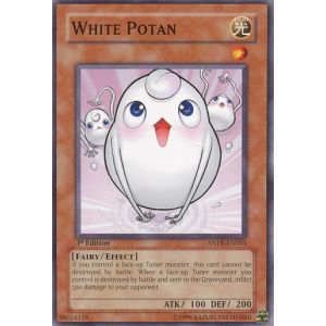 White Potan (Common)