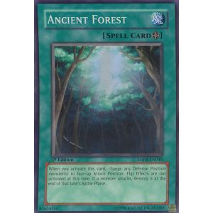 Ancient Forest (Super Rare)