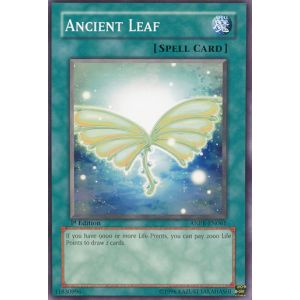 Ancient Leaf (Common)