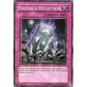 Nature's Reflection (Common)