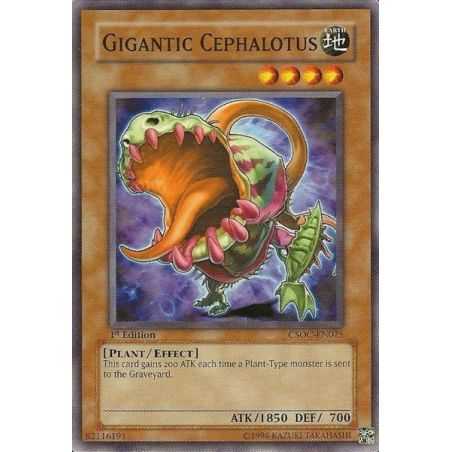 Gigantic Cephalotus (Common)