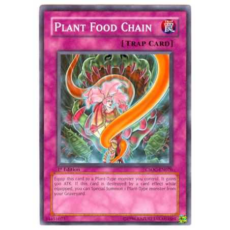 Plant Food Chain (Common)