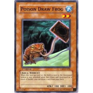 Poison Draw Frog (Common)