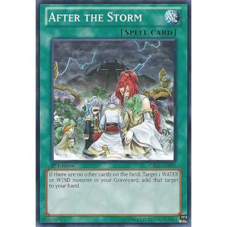 After the Storm (Common)