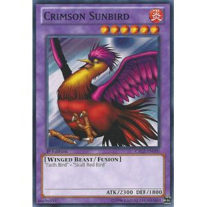 Crimson Sunbird (Common)