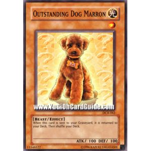 Outstanding  Dog Marron (Common)