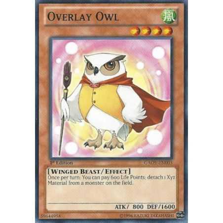 Overlay Owl (Common)
