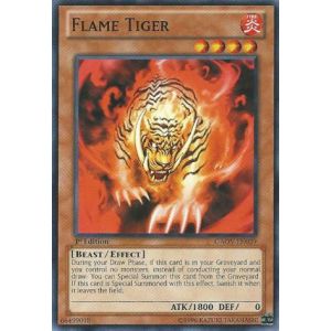 Flame Tiger (Common)