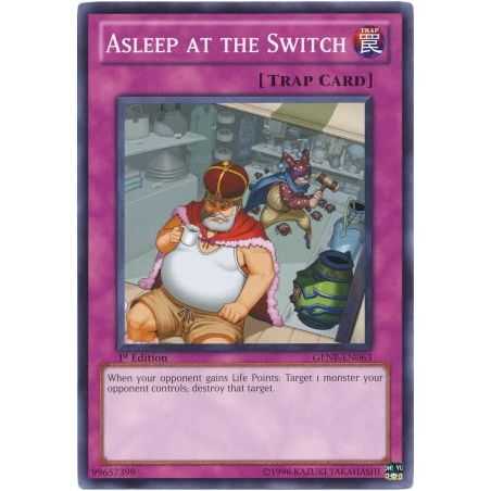 Asleep at the Switch (Common)