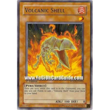 Volcanic Shell (Rare)