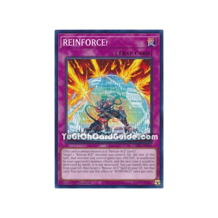 REINFORCE! (Common)