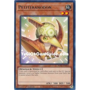 Petiteranodon (Rare)