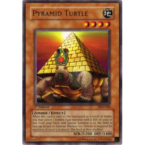 Pyramid Turtle (Rare)