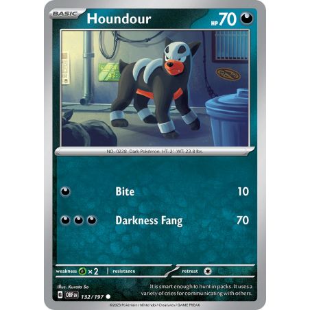 Houndour 