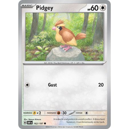 Pidgey 