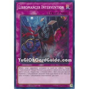 Libromancer Intervention (Common)