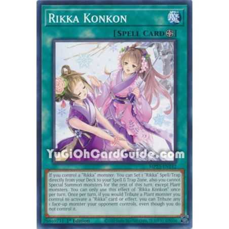 Rikka Konkon (Common)