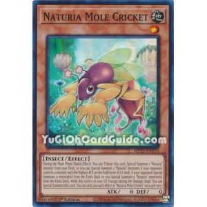 Naturia Mole Cricket (Super Rare)