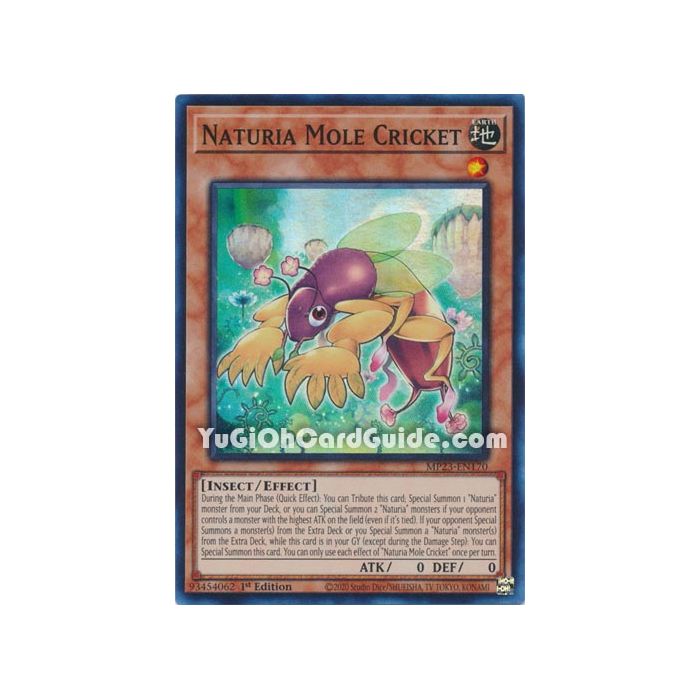 Naturia Mole Cricket (Super Rare)