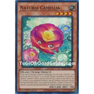 Naturia Camellia (Super Rare)