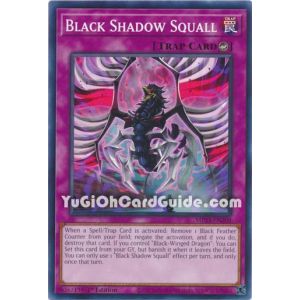 Black Shadow Squall (Common)