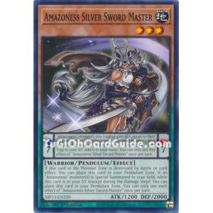 Amazoness Silver Sword Master (Common)