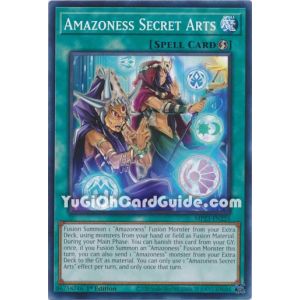 Amazoness Secret Arts (Common)