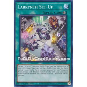 Labrynth Set-Up (Common)