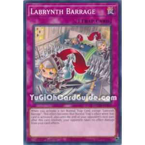 Labrynth Barrage (Common)