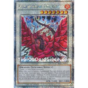 Black Rose Dragon