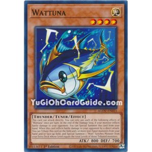 Wattuna (Common)