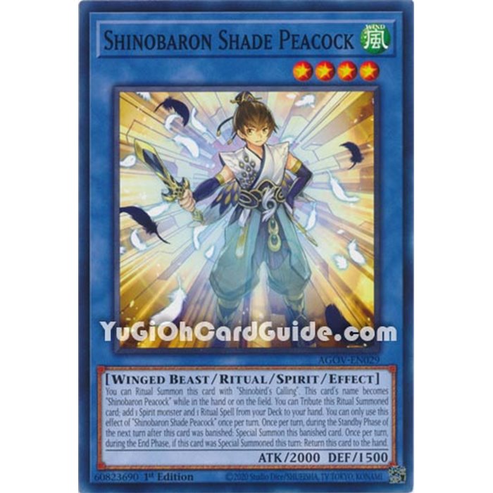 Shinobaron Shade Peacock (Common)