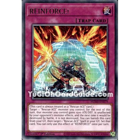 REINFORCE! (Rare)