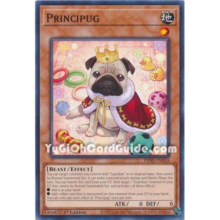 Principug (Common)