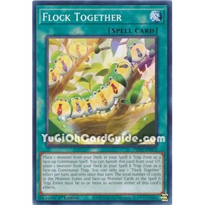 Flock Together (Common)