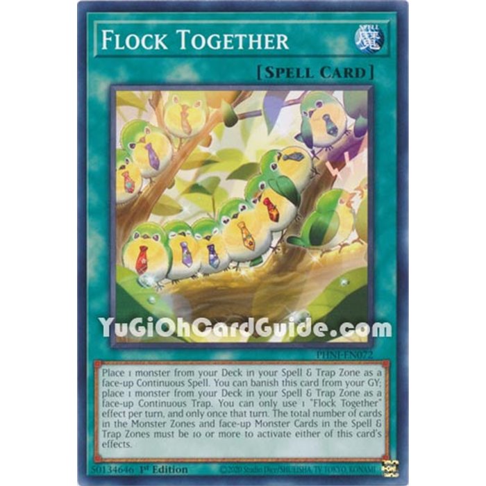 Flock Together (Common)