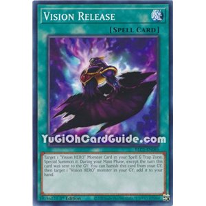 Vision Release (Common)