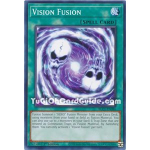 Vision Fusion (Common)