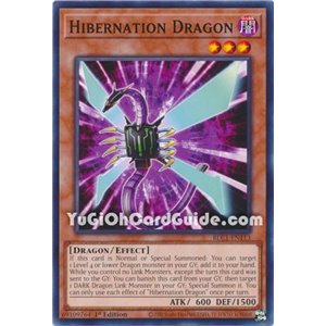 Hibernation Dragon (Common)