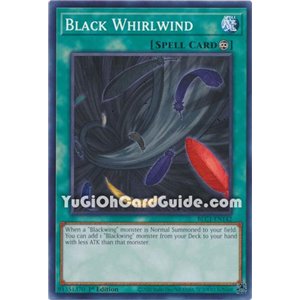 Black Whirlwind (Common)