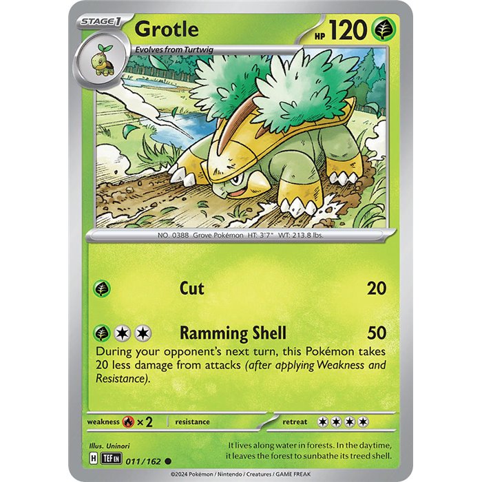 Grotle (Common)