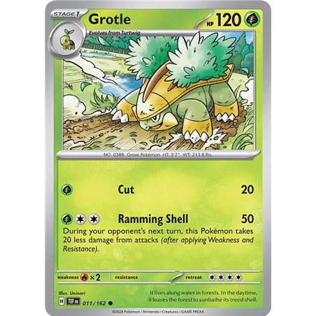 Grotle (Common)