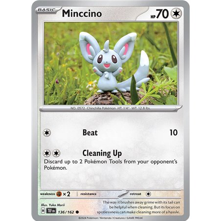 Minccino (Common/Reverse Holofoil)