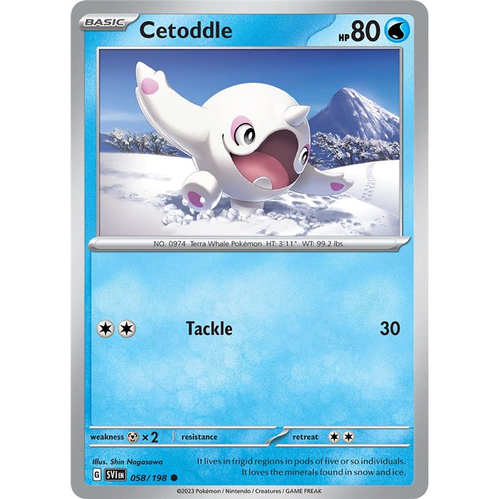 Cetoddle