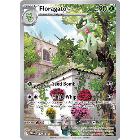 Floragato