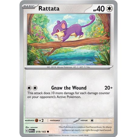 Rattata