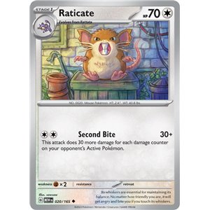 Raticate