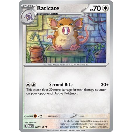 Raticate