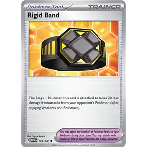 Cintur�n R�gido (Reverse/Holo)