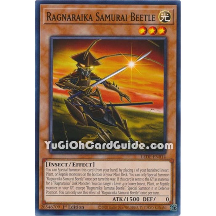 Ragnaraika Samurai Beetle (Common)